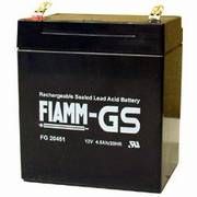 Fiamm Blei-Akku  FG 20451 12V 4,5 Ah